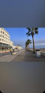 a street with palm trees and a building at Appartement Sofia in Martil