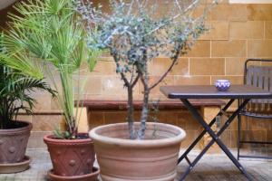 Fotografie z fotogalerie ubytování Pindaro v destinaci Agrigento