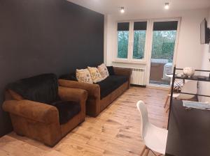 un salon avec un canapé et une chaise dans l'établissement BlackandWhite, à Sandomierz