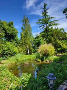 a pond in a garden with a street light at Ferienwohnung Kormoran in Kargow