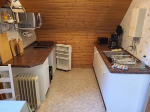 a small kitchen with a sink and a counter at Ferienwohnung Kormoran in Kargow