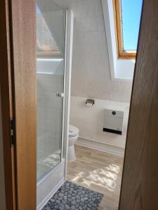 bagno con servizi igienici e porta a vetri di Ferienwohnung Kormoran a Kargow Altre 9 foto