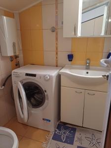 a small bathroom with a washing machine and a sink at Appartement DODO Monténégro in Topla +2 photos