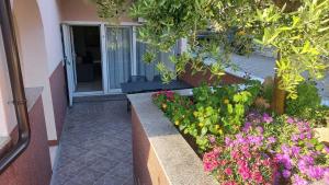 Zahrada ubytování Apartment Pirun