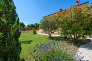 Φωτογραφία από το άλμπουμ του Villa dido Nini σε Cere