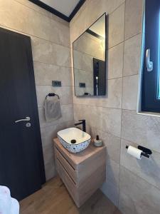 a bathroom with a sink and a mirror at Kuća za odmor LO in Lipovlje +26 photos