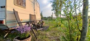 Zahrada ubytování Caravan Romsicht Sneek
