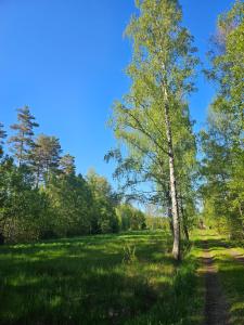 Galeriebild der Unterkunft Charming Country Cottage in Säffle