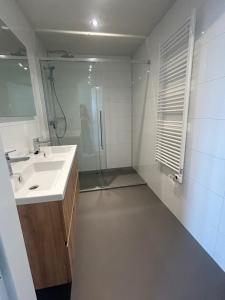 エンクホイゼンにあるEnkhuizer Strand BeachHouse Strandgut mit Zaun Nr 400の洗面台とシャワー付きの白いバスルーム