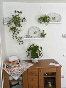 Fotografie z fotogalerie ubytování Green Garden Home v destinaci Cerknica