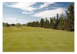 a golf course with a flag on the green at La Mora Bianca in Assemini