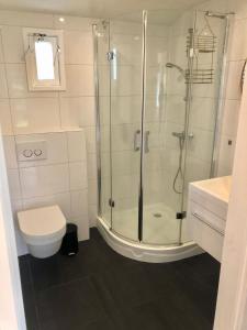 a bathroom with a shower and a toilet at Vakantiehuis Nynke in Grou +4 photos