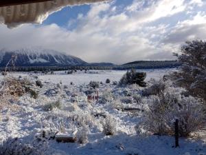 Fotografie z fotogalerie ubytování Tierra de Guanacos - casa en la naturaleza v destinaci Cholila + 47 fotografií