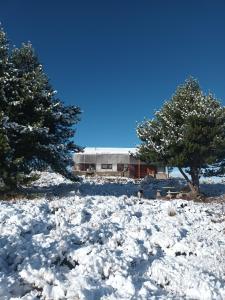 Fotografie z fotogalerie ubytování Tierra de Guanacos - casa en la naturaleza v destinaci Cholila