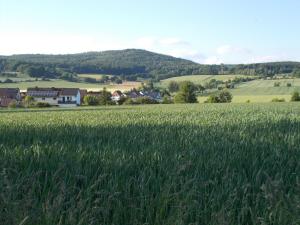 ウスラーにあるNatur und Ruhe - für Ruhe suchendenの家々を背景にした緑の草原