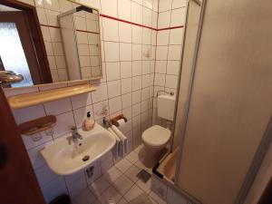 a small bathroom with a sink and a toilet at Guest House Dijana in Kraljevica +34 photos