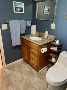 une salle de bain avec un lavabo et des toilettes dans l'établissement Country suite with bath and laundry, à Athens