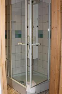 La salle de bains est pourvue d'une douche avec une porte en verre. dans l'établissement Vivo-Vino, à Weisenheim am Sand