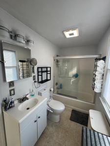 a bathroom with a toilet and a sink and a shower at Cozy Modern 2BR Near Grays Beach in Kingston +7 photos