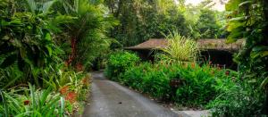 Zahrada ubytování Heritage Lodge - in the Daintree