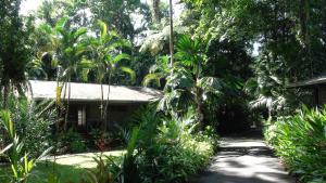Zahrada ubytování Heritage Lodge - in the Daintree