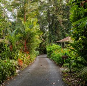 Zahrada ubytování Heritage Lodge - in the Daintree