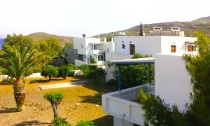 arial view of a house with a palm tree at Vaso Rooms in Livadakia