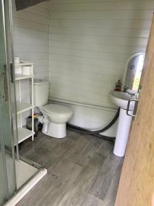 a bathroom with a toilet and a sink at Lincoln Big Dome, 4 beds, Projector - Groups OK in Snelland