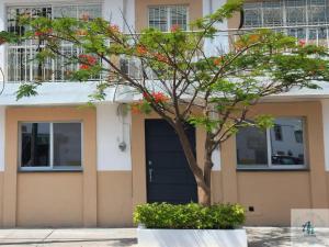ein Haus mit einer schwarzen Tür und einem Baum in der Unterkunft B - Céntrico Loft Privado - Alegría Housing in Aguascalientes