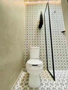 a bathroom with a white toilet and a shower at Bugambilia Azul Centro Oaxaca in Oaxaca City