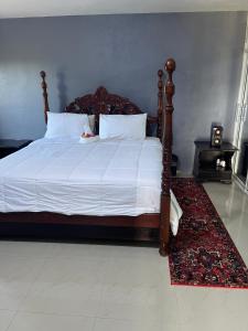 Gallery image of Auglo villa house in Black River +1 photo