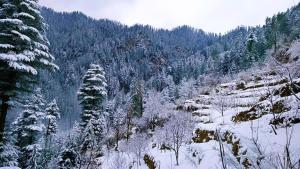 Φωτογραφία από το άλμπουμ του Boom shiva camps σε Mandi +6 φωτογραφίες
