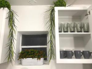 a window with plants and vases in it at NEW! 2 minutes from Convention Center, Palms Crossing Shopping & South Texas College in McAllen
