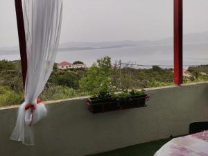 a window with flowers in a pot on a ledge at Apartment Dario olta - Two Bedroom Apartment with Sea View in Grohote