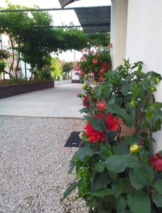 Zahrada ubytování Apartments Jeličić