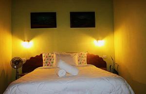 a bedroom with a bed with two pillows and two lights at Siary Aparment con vista 3 in Monteverde Costa Rica