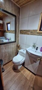 Un baño con inodoro, lavabo y espejo. en Mary y Luis, en Coyhaique 1 foto más