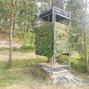 Zahrada ubytování Jahbazaar Camping Jūrmala