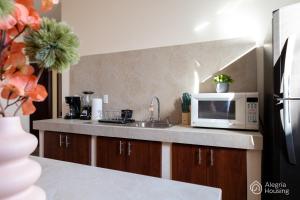 eine Küche mit Spüle und Mikrowelle in der Unterkunft T - Apartamento Privado - Alegría Housing in Aguascalientes + 29 Fotos