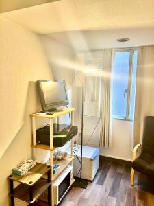 a small living room with a tv and a chair at Shinjuku Wasabi House II in Tokyo +16 photos