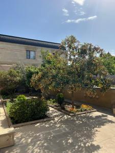 an orange tree in a courtyard in front of a building at La villa de Ramil in Baku