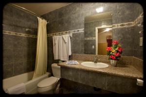 a bathroom with a sink and a toilet and a mirror at The Palace Inn in Oxnard