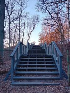 un escalier dans un parc arboré dans l'établissement Darłówko 300m plaża Kładkowe Studio 1, à Darłowo