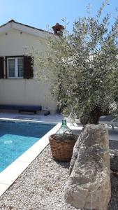 Piscina di Villa Nostalgia pool & wellness o nelle vicinanze