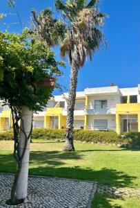 due palme di fronte a un edificio di Casa Zen Apartamentos Santa Teresinha Montes de Alvor ad Alvor
