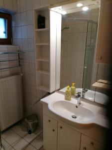 Kúpeľňa v ubytovaní Blockhaus Familie Raidl