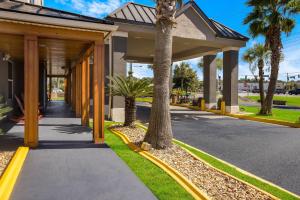 a walkway in front of a building with palm trees at Country Inn & Suites by Radisson, Hinesville, GA in Hinesville