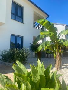 Gallery image of Casa Connie Apartments Valbandon in Valbandon