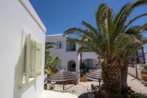 a palm tree in front of a building at Villa Ostria in Koufonisia