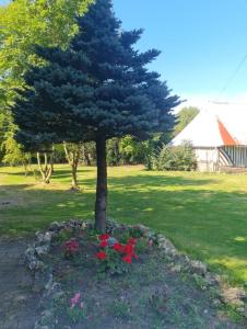 a tree in the middle of a field with flowers at La petite maison normande in Honfleur